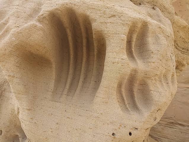 The most conspicuous handprint at White Mountain Petroglyphs,  SweetwaterCounty, Wyoming, is in sandstone of the Eocene-age Wasatch  Formation. - Utah Geological Survey