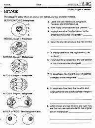 We did not find results for: Cell Division Worksheet Answers Unique Meiosis Vs Mitosis Worksheet And Answers Biology Worksheet Division Worksheets Mitosis