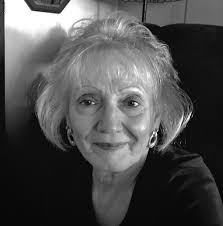 German shorthaired pointer beats the heat