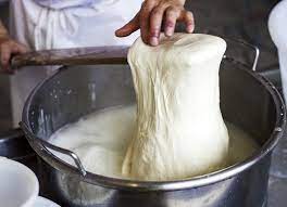 Cara Melelehkan Keju Mozzarella Yang Bikin Ngiler Masak Apa Hari Ini