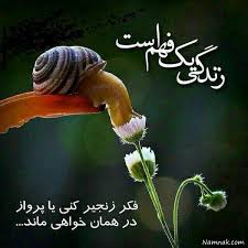 7 راز فوق العاده برای تجربه زندگی عالی و بی عیب و نقص
