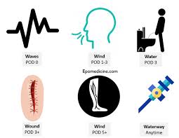 Image result for Postpartum Fever