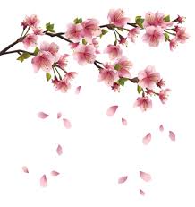Les Meli Melos De Mamietitine Fleur De Cerisier Dessin Fleur De Cerisier Japonais Fleur De Cerisier