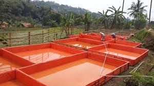 Jual Terpal Kolam Murah A15 Kotak Ukuran 4 X 3 Meter Tinggi Pas 1 Meter Kota Surabaya Tunggal Jaya Terpal Tokopedia