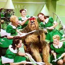 Star Wars Wizard Of Oz Hair Done Chewbacca Star Wars Toys Wizard Of Oz Stars
