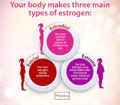 12 Tips To Balance Estrogen Levels Naturally Drjockers Com Estrogen Hormone Low Estrogen Oestrogen