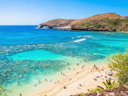 Hanauma bay snorkeling is the most popular activity in oahu, hawaii. Snorkel At Hanauma Bay Top Oahu Attractions Sights Oahu Tours Activities Fun Things To Do In Oahu Hawaiiactivities Com