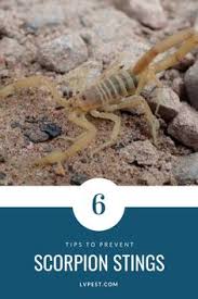 Hire the best pest control services in las vegas, nv on homeadvisor. 32 Pest Facts Control Tips Ideas Safe Pest Control Pest Facts Pest Problem