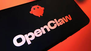 生產力神器定燒錢廢物？OpenClaw 實測伏味濃全網怒插3 大死穴 ...