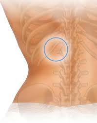 So, let's learn the ribs so we can attach the muscles in the right place. Massage For Low Back Pain Quadratus Lumborum