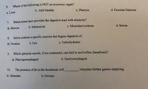 Solved Which Of The Following Is Not An Accessory Organ B Chegg Com