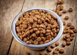 Che cosa mangerebbe l'erede biologico del lupo in natura? Crocchette Biologiche Per Cani Le Migliori Crocchette Per Cani