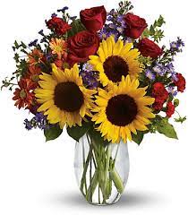 612 e john st, champaign, il 61820. Abbott S Florist Your Florist In Champaign Illinois Il