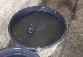 Dabei ist es nicht nur nass, sondern hat auch noch andere eigenschaften, beispielsweise gefriert es bei 0 grad celsius. Country Reiten Einfache Hilfe Gegen Das Einfrieren Von Trogen