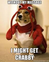 Image Result For Massage Therapy Memes Dog Costumes Funny Dog Costume Funny Dogs