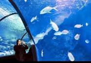 نتیجه تصویری برای جاهای دیدنی مشهد