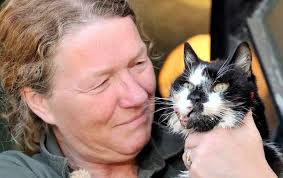Missing moggy reunited with owners SIX YEARS after disappearing from loving  home