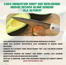 Pin Oleh Siti Nurmaya Di Home Health Remedies Kesehatan Obat Alami Alpukat