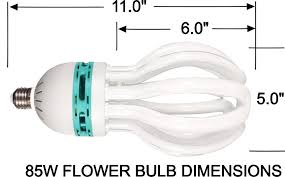 Maybe you would like to learn more about one of these? Alzo 85w Joyous Light Full Spectrum Cfl Light Bulb 5600k 5000 Lumens Alzo Digital