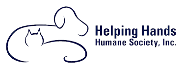 Learn guides to pet wellness. Top 10 Reasons To Adopt From An Animal Shelter Helping Hands Humane Society