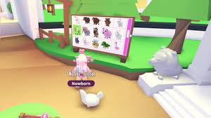 All adopt me codes and hacks 2020! Free Family Mod Adopt Me Instructions Unofficial Q A Tips Tricks Ideas Onlinehackz Com