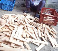 Black Soldier fly Complete Starter kits. Optimized for Maximum production.  Flyful Farms. David Atis Contact 0792 736841 +254792736841.