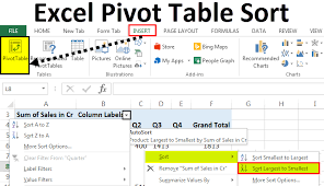 pivot table sort examples how to sort data values in