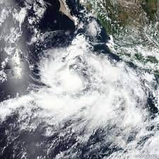 Jun 15, 2021 · tropical storm ana, which formed late last month, was the first named storm of 2021, the advance/silive.com previously reported. Jndale9ppwg3im