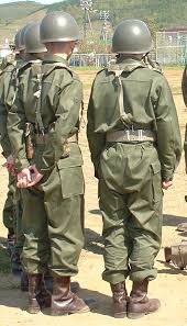 Image result for Olive Drab 1990 US Government