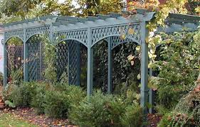 Image result for pruning grapes on a pergola
