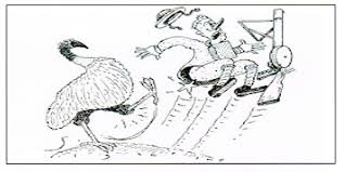 Australia's Emu War – City of Canada Bay Heritage Society