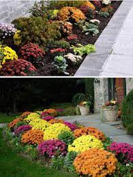 Plant Mums Pansies And Kale For The Fall Season Backyard Landscaping Backyard Landscaping Designs Garden Design