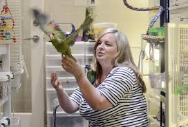 Parrot Sanctuary In Cabbagetown Takes In Unwanted And Ill Treated Birds Birds Parrot Sanctuary