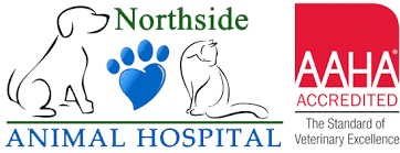 For your convenience, pet portal accounts are available for all patients of oradell animal hospital, including primary care. Pet Portal Northside Animal Hospital