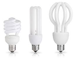 Recycling Compact Fluorescent Lamp Bulbs In Kirkland