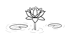 Image result for Lotus