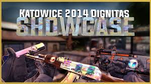 In this video you can take a look on a loadout of a guy with pretty solid dignitas (holo) katowice 2014 stickered gun collection. Dignitas Holo Katowice 2014 Sticker Collection Loadout Showcase Youtube