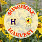 Sunchoke Harvest with Haskell Greenhouse event image
