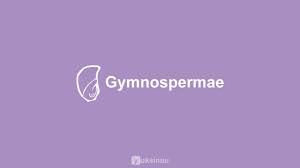 We did not find results for: Gymnospermae Ciri Ciri Contoh Reproduksi Klasifikasi