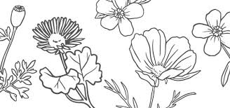 Desenele cu flori de colorat sunt o metoda creativa pentru ca cel mic sa invete si sa coloreze anumite sabloane de desene. Planse De Colorat Cu Flori Simple Cristina Picteaza