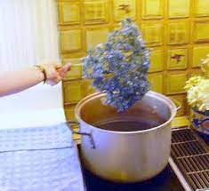 Pin On Gardening