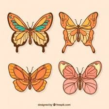 Disegni Di Farfalle Colorate Farfalle Colorate Con Varieta Di Disegni Vettore Gratis Download Disegno Di Disegni Ricamo Disegni Disegni Da Ricamo A Mano