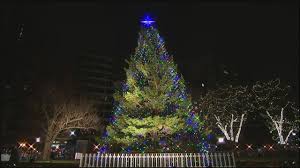 Uncut Boston Common Christmas Tree Lighting Christmas Tree Lighting Christmas Tree Christmas Lights