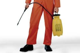 Welcome to the staten island south home depot. Pest Control Services Staten Island Ny Pest Control Services Staten Island Ny Alliance Pest Management