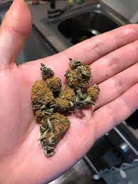 Would earn you an annualized return of. Pgr The Toxic Chemicals In Your Marijuana Friendly Aussie Buds