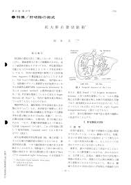 拡大肝右葉切除術 臨床外科 31巻10号 医書 Jp