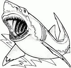 Shark Coloring Pages For Kids Free Coloring Sheets Shark Coloring Pages Animal Coloring Pages Lego Coloring Pages