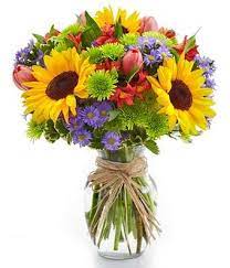 We did not find results for: Mothers Day Flowers And Gift Baskets 844 851 6252