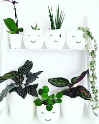 Megan On Instagram It S The Weekend Time For Building Loads Of Ikea Furniture And Redecorating Idrinkan Redecorating Ikea Furniture Homesense