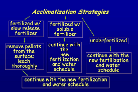 نتیجه جستجوی لغت [acclimatized] در گوگل